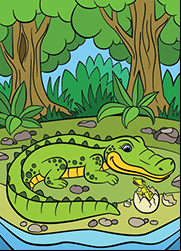 Un crocodile et un petit crocodile qui sort d'un œuf 