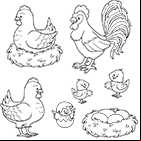 Coloriage à imprimer, une poule, un coq, des poussins