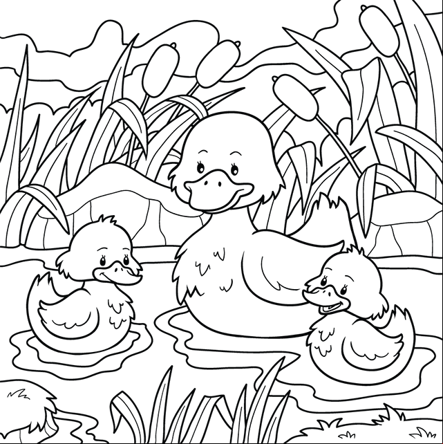 Dessin à colorier, une cane et ses canetons sur l'eau