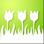 Découpage simple, les tulipes
