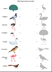 Jeu à imprimer, les ombres d'oiseaux