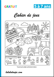 Cahier de jeux d'observation ; maternelle et 