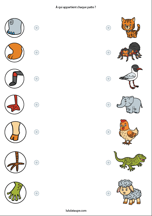 Exercice d'observation à imprimer, relier les pattes aux animaux