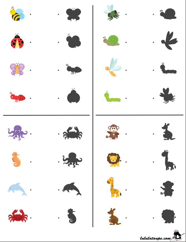 Jeu des ombres à imprimer