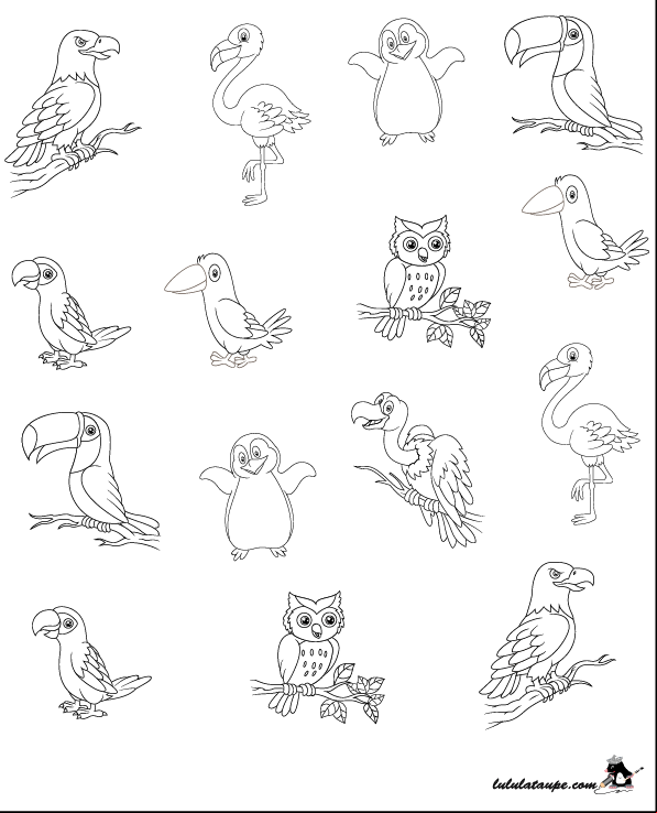 Exercice ludique, trouver un oiseau unique parmi des couples d'oiseaux