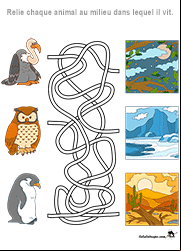 Jeu de labyrinthe, enfants de 4 ans et plus