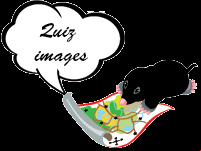Quiz en ligne, enfants de 7 ans et plus